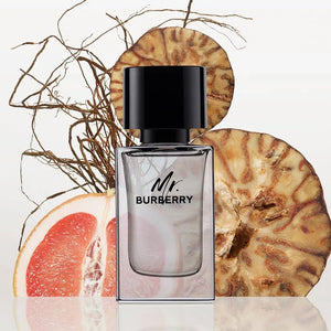 Mr.Burberry 3.4 oz EDT for men