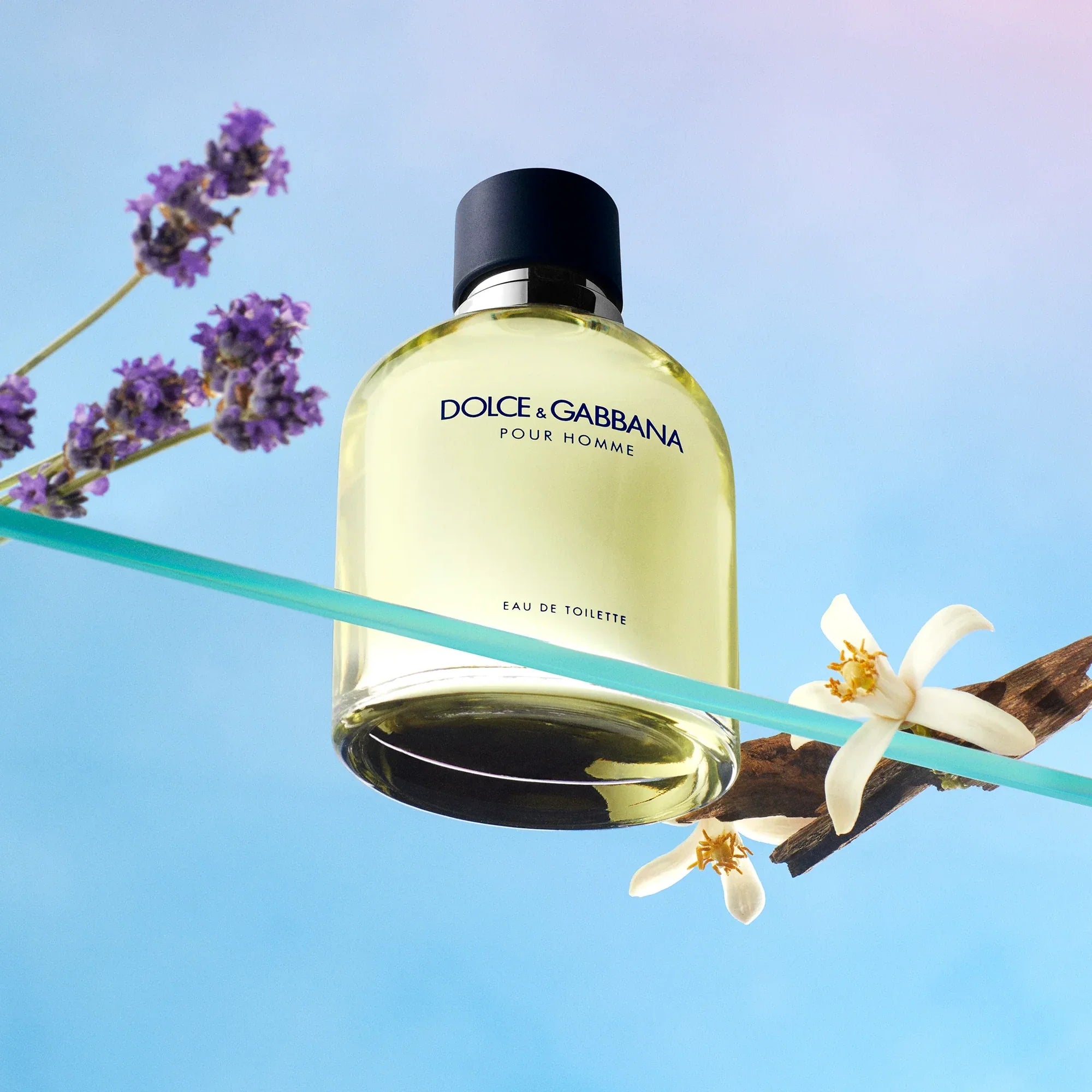 Dolce & Gabbana Pour Homme 6.7 oz EDT