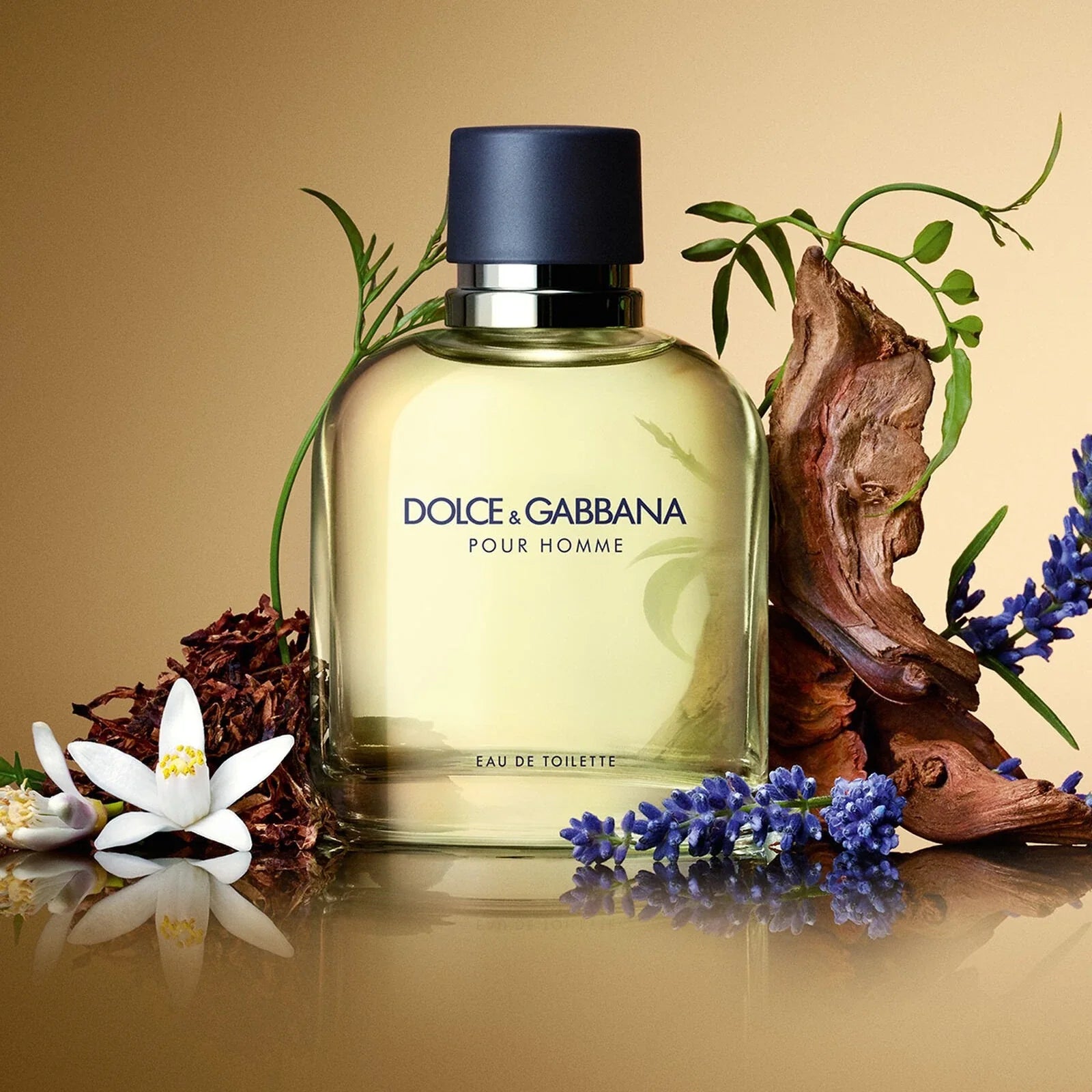Dolce & Gabbana Pour Homme 6.7 oz EDT